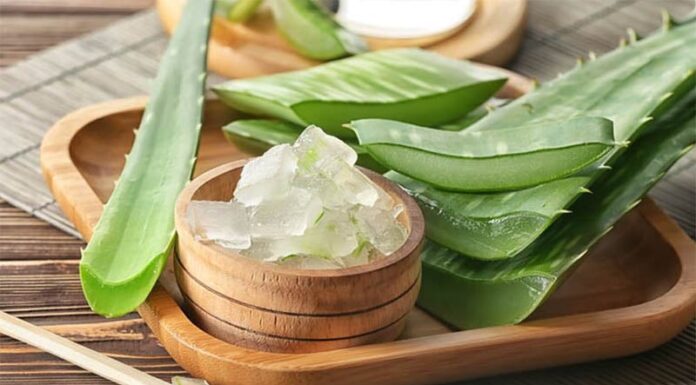 Aloe Vera: Nature’s Miracle for Damaged Hair