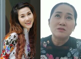 From Chart-Topping Southern Singer to Struggling Street Vendor: A Fallen Star’s Fight for Survival