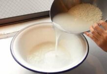 Fermented Rice Water: The Ancient Secret to Luscious Hair