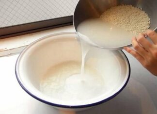 Fermented Rice Water: The Ancient Secret to Luscious Hair