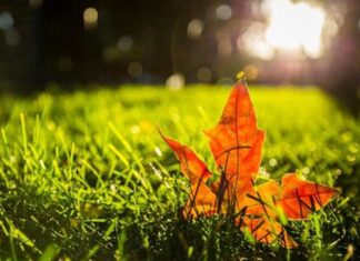 “Even the Closest Relationships Must Remember These ‘3 Don’ts’ – That’s True Wisdom and Clarity”