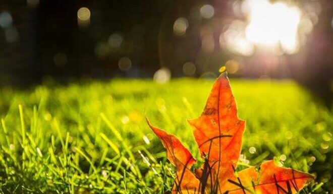 “Even the Closest Relationships Must Remember These ‘3 Don’ts’ – That’s True Wisdom and Clarity”