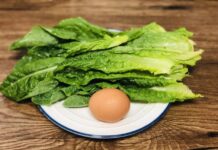 “Every Part of This Tree is Edible: Maximize Nutrition by Cooking Its Most Nutrient-Dense Leaves with Eggs for a Multiplied Health Boost”