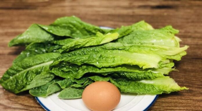 “Every Part of This Tree is Edible: Maximize Nutrition by Cooking Its Most Nutrient-Dense Leaves with Eggs for a Multiplied Health Boost”