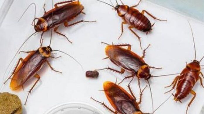 3102bb9d5edcb782eecd