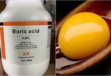 Mass Extermination of Cockroaches: Effective Tips Without Using Pesticides