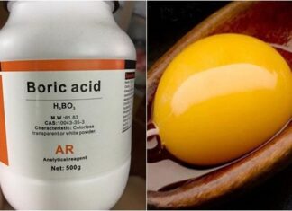 Mass Extermination of Cockroaches: Effective Tips Without Using Pesticides