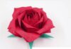 Mastering the Art of Origami: How to Fold a Stunning Paper Rose