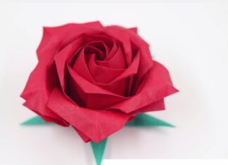 Mastering the Art of Origami: How to Fold a Stunning Paper Rose