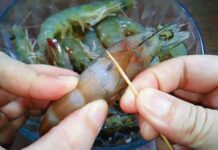 Should You Remove the Vein from Large Shrimp? Insights from a Seasoned Fisherman