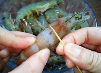 Should You Remove the Vein from Large Shrimp? Insights from a Seasoned Fisherman