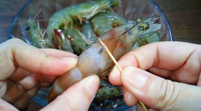 Should You Remove the Vein from Large Shrimp? Insights from a Seasoned Fisherman