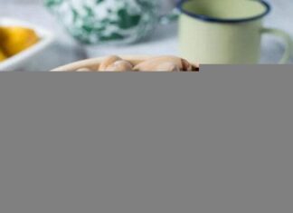 Japan’s Priciest Seed Costs as Much as Beef, Yet Vietnamese Discard It—Unbeknownst to Them, It’s a Bedroom “Miracle Cure”