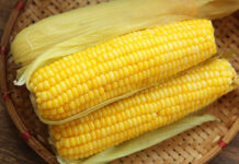 “Boiling Corn with Just Water is Incomplete: Add These 2 Ingredients for Richer Flavor, Aromatic Scent, and Tender Sweetness”