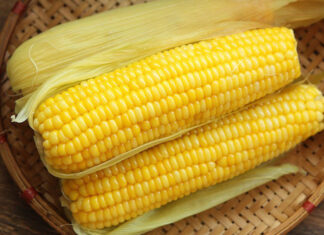 “Boiling Corn with Just Water is Incomplete: Add These 2 Ingredients for Richer Flavor, Aromatic Scent, and Tender Sweetness”