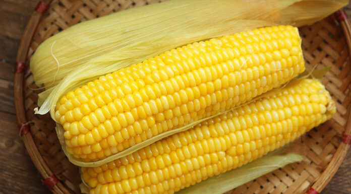 “Boiling Corn with Just Water is Incomplete: Add These 2 Ingredients for Richer Flavor, Aromatic Scent, and Tender Sweetness”