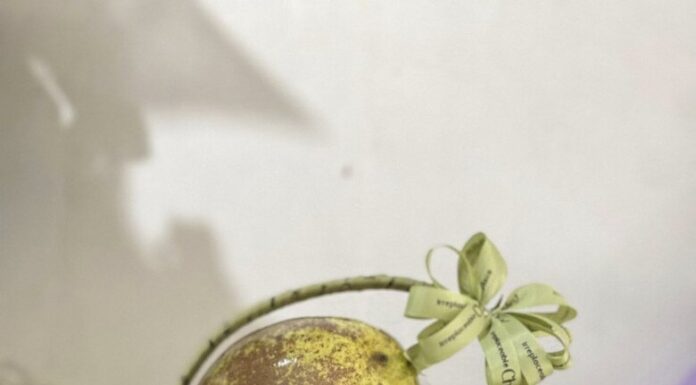 “Parent’s Fruit Basket Gift to Teacher on November 20th Sparks Controversy”