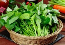“Discover Vietnam’s Secret Wild Vegetable: One Meal Delivers Weight Loss Results Like a Miracle Pill, Leaving Skin Glowing and Radiant”
