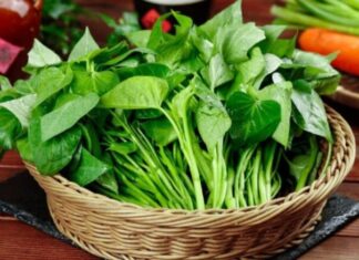 “Discover Vietnam’s Secret Wild Vegetable: One Meal Delivers Weight Loss Results Like a Miracle Pill, Leaving Skin Glowing and Radiant”