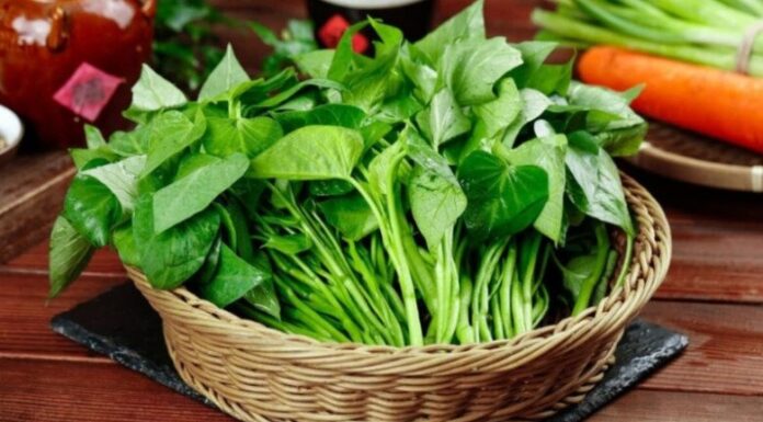 “Discover Vietnam’s Secret Wild Vegetable: One Meal Delivers Weight Loss Results Like a Miracle Pill, Leaving Skin Glowing and Radiant”