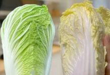 Mastering Bok Choy Selection: Green vs. White – 3 Insider Tips from Farmers to Never Go Wrong Again