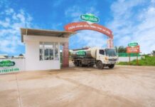 How Many Varieties of NutiMilk Yogurt Are There? Which One Tastes the Best?