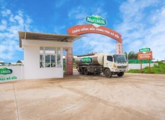 How Many Varieties of NutiMilk Yogurt Are There? Which One Tastes the Best?