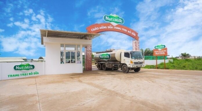 How Many Varieties of NutiMilk Yogurt Are There? Which One Tastes the Best?