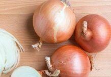 Household Food Staples That Kill Bacteria: Versatile, Underused, and Perfect for Any Space