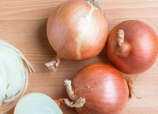 Household Food Staples That Kill Bacteria: Versatile, Underused, and Perfect for Any Space