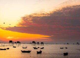 14 Must-Visit Tourist Attractions in Thái Bình You Can’t Miss