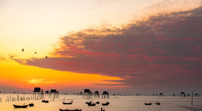 14 Must-Visit Tourist Attractions in Thái Bình You Can’t Miss