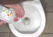 Effective and Simple Ways to Eliminate Foul Odors in Your Bathroom
