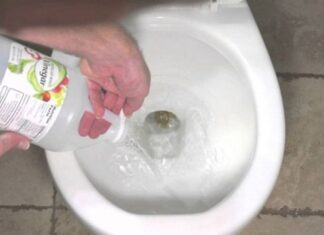 Effective and Simple Ways to Eliminate Foul Odors in Your Bathroom