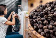 Unlock the Secret Benefits of Adding Black Pepper to Your Washing Machine