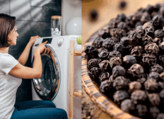 Unlock the Secret Benefits of Adding Black Pepper to Your Washing Machine