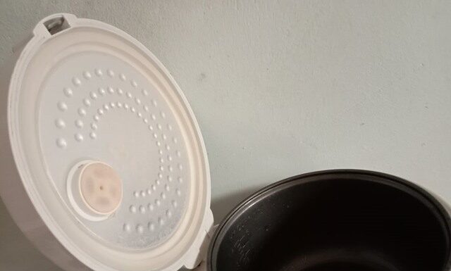 Lightning-Fast Electric Rice Cooker Cleaning: Banish Bacteria in a Flash