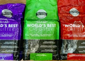 World’s Best Cat Litter: Superior Absorption & Odor Control in 3 Variants
