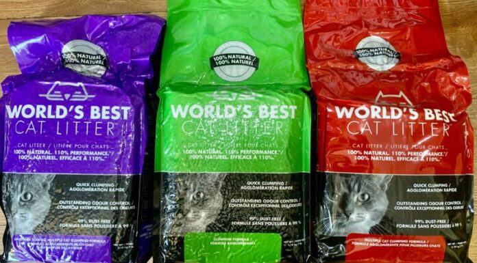 World’s Best Cat Litter: Superior Absorption & Odor Control in 3 Variants