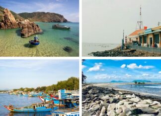 9 Must-Visit Spots in Can Gio for the Ultimate Check-In Experience