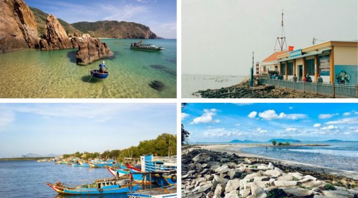 9 Must-Visit Spots in Can Gio for the Ultimate Check-In Experience