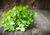 “Buy Plenty of Cilantro? Don’t Rush to the Fridge—Follow These Simple Steps to Keep It Fresh Longer and Save Money”