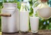 Best Milk Options for Kidney Patients: Top 11 Recommendations