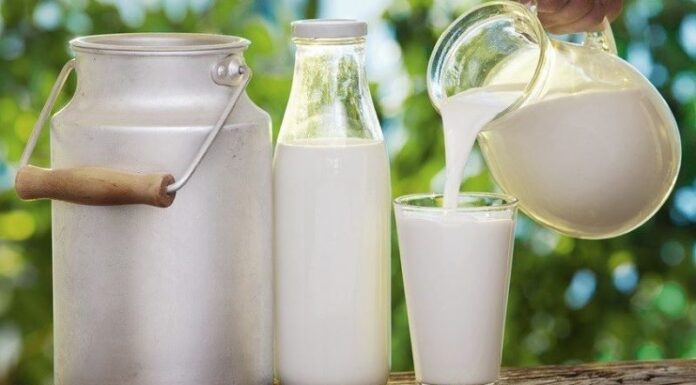 Best Milk Options for Kidney Patients: Top 11 Recommendations