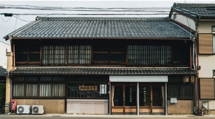 Unleash a Burst of Vitamins with Eikodo’s Fruit Candy Delights