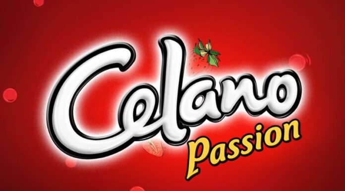 Celano Ice Cream: Beat the Summer Heat with Cups and Tubs