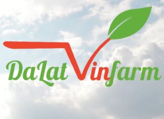 Beat Holiday Food Fatigue with Oppa’s Kimchi and Pickled Radish