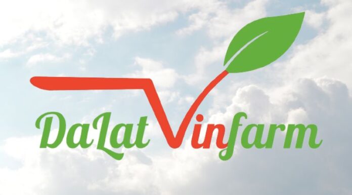 Beat Holiday Food Fatigue with Oppa’s Kimchi and Pickled Radish