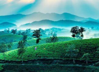 Discover the Top 5 Must-Visit Destinations in Lam Thao, Phu Tho for First-Time Travelers