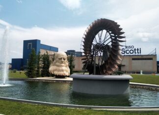 Daily Nutrition with Riso Scotti’s Organic Rice Milk